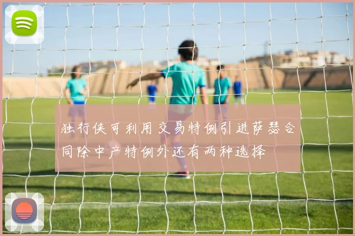 独行侠可利用交易特例引进萨瑟合同除中产特例外还有两种选择
