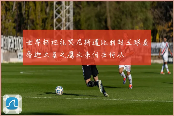 世界杯巡礼突尼斯遭比利时五球羞辱迦太基之鹰未来何去何从